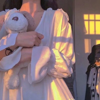 暗杀第一夫人封面