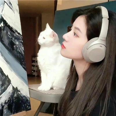 陌生人的爱封面