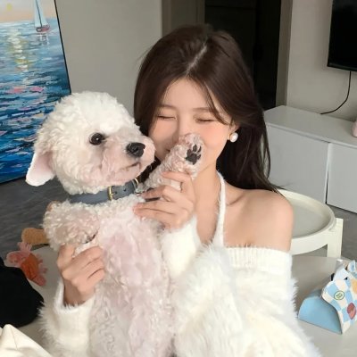后续卢宫秘史封面